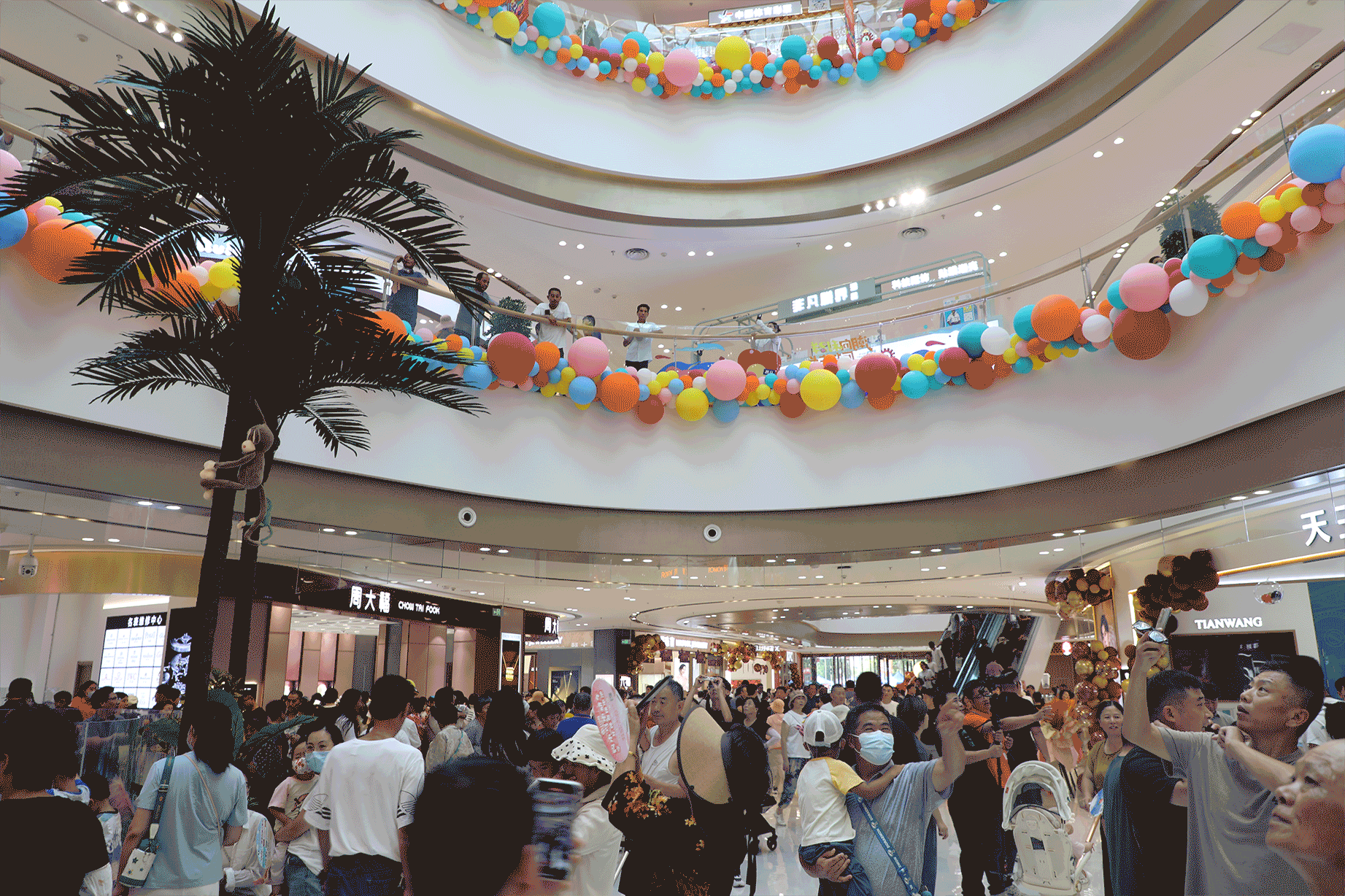 222438A6883.gif